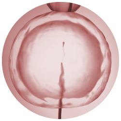 Ilustração explicativa da fertilização in vitro (FIV)